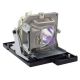 LG DS420 Original Inside Projector Lamp - Replaces AJ-LDX4 / EBT43485102